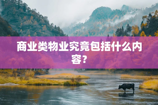 商业类物业究竟包括什么内容？