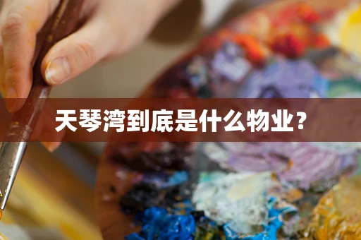 天琴湾到底是什么物业？