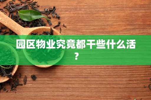 园区物业究竟都干些什么活？