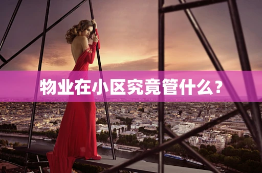 物业在小区究竟管什么？