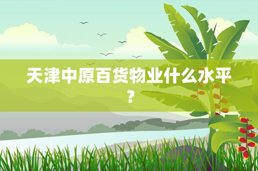 天津中原百货物业什么水平？