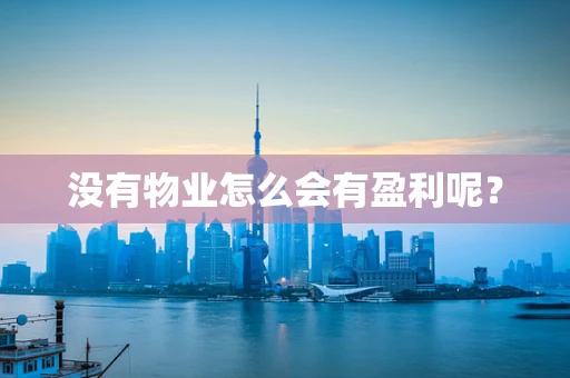没有物业怎么会有盈利呢？