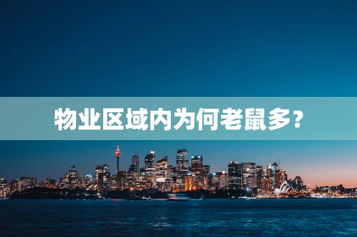 物业区域内为何老鼠多？