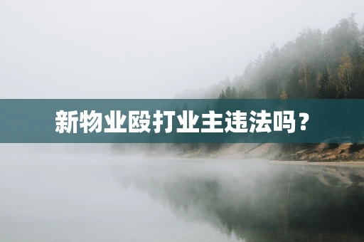 新物业殴打业主违法吗？