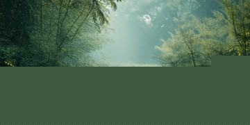 没有物业，生活究竟会怎样？