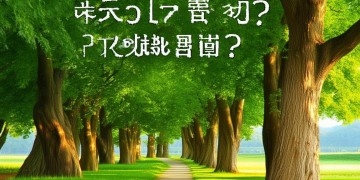 树人路物业现在到底管事吗？